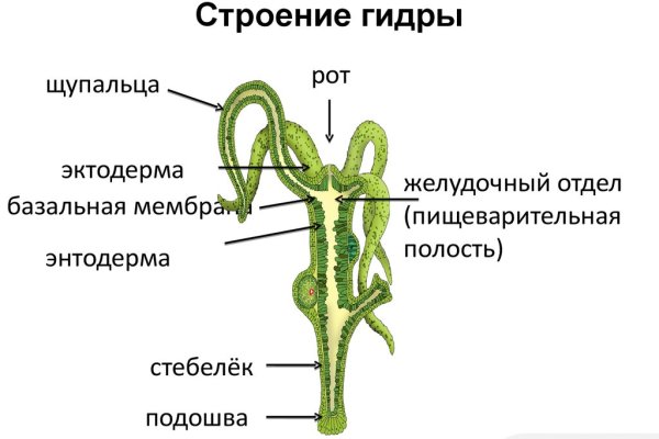 Как пополнить баланс кракен