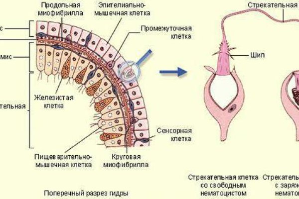 Кракен современный даркнет маркет плейс
