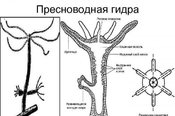 Кракен клир ссылка