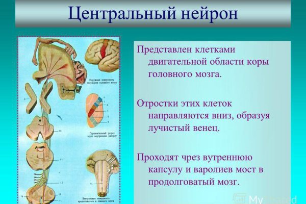 Кракен продает наркотики