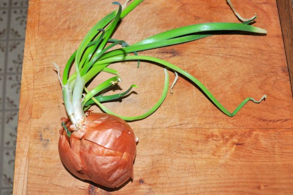 Kraken onion сайта